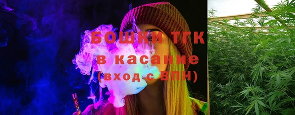 молекула духа Осинники