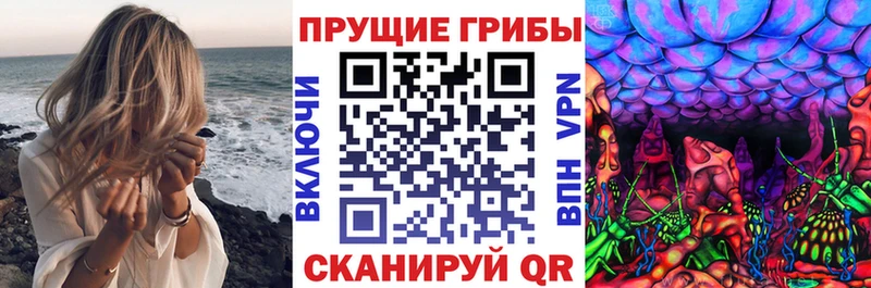 Галлюциногенные грибы GOLDEN TEACHER  что такое наркотик  Шатура 